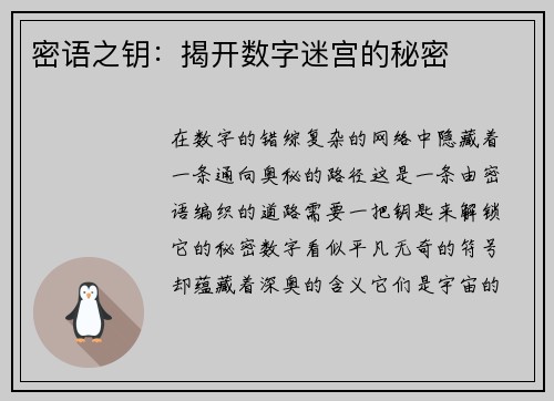 密语之钥：揭开数字迷宫的秘密